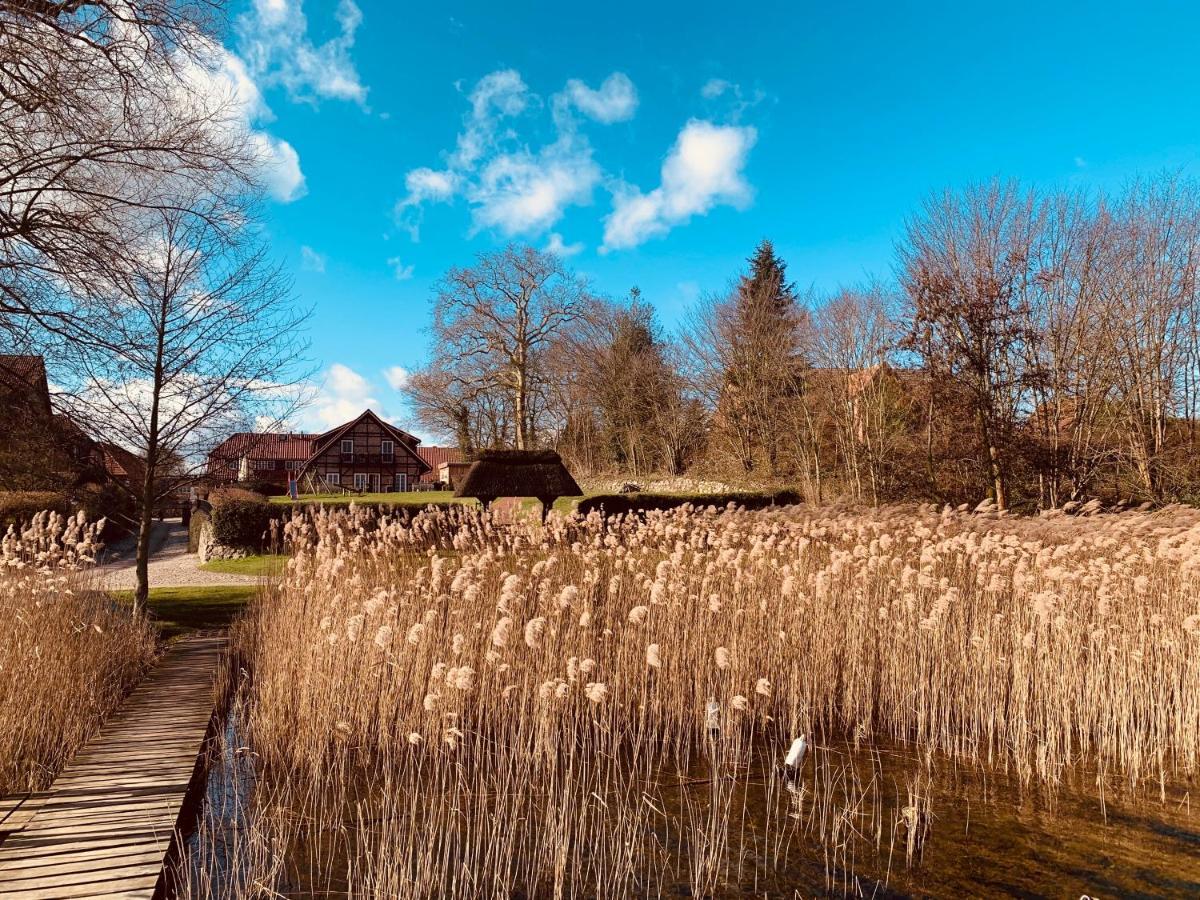 Fischhaus Am Schaalsee Zarrentin am Schaalsee 外观 照片